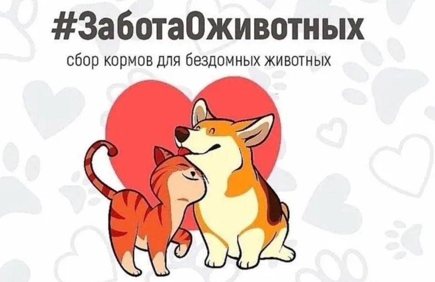 Всероссийская акция «Россия – семья семей».