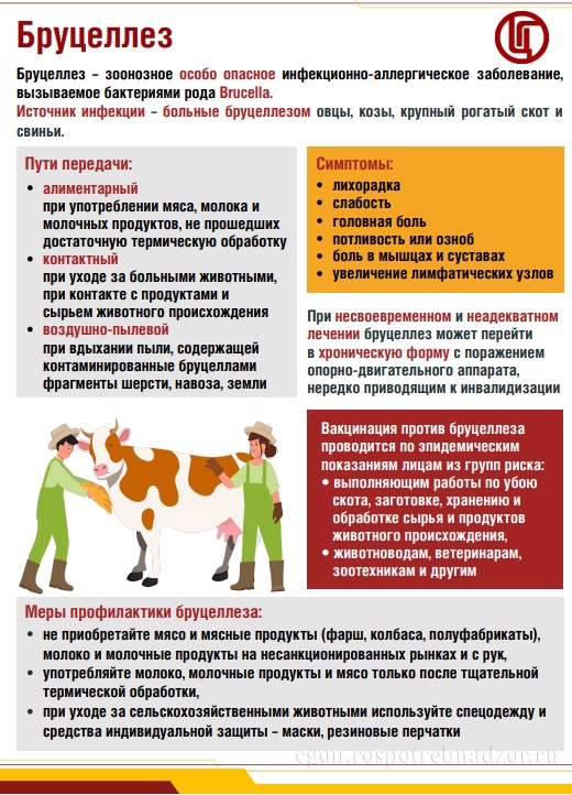 ПАМЯТКА ДЛЯ НАСЕЛЕНИЯ «МЕРОПРИЯТИЯ ПО ПРОФИЛАКТИКЕ БРУЦЕЛЛЁЗА».